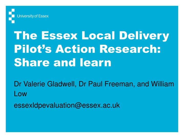 the essex local delivery pilot s action research