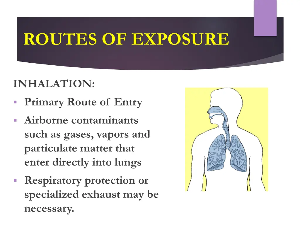 routes of exposure 1