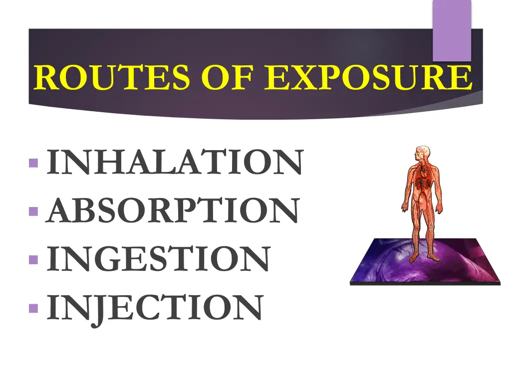 routes of exposure