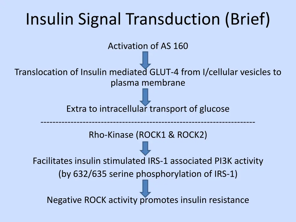insulin signal transduction brief 1