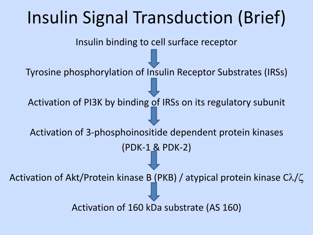 insulin signal transduction brief