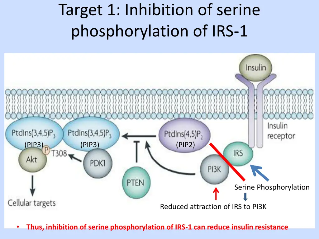 target 1 inhibition of serine phosphorylation