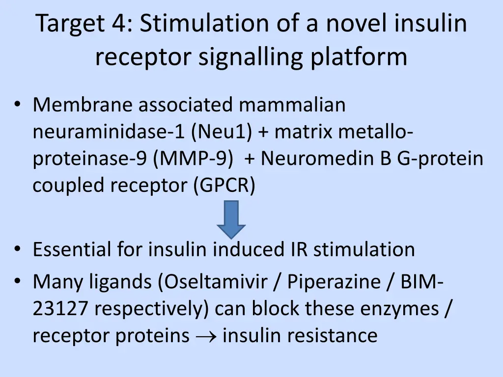 target 4 stimulation of a novel insulin receptor