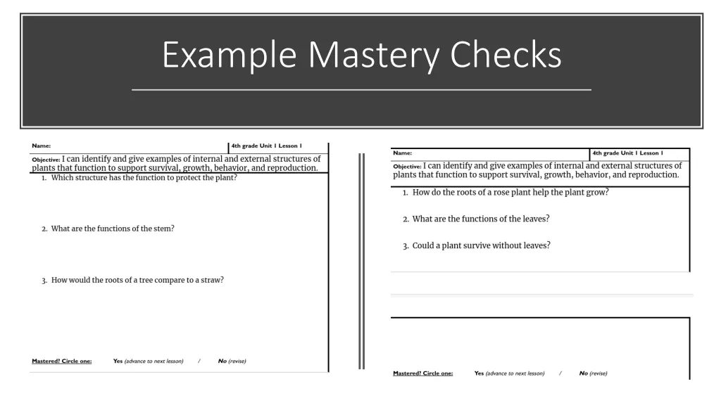 example mastery checks