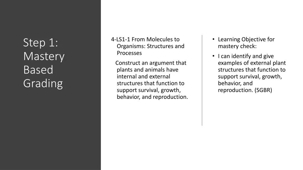 learning objective for mastery check