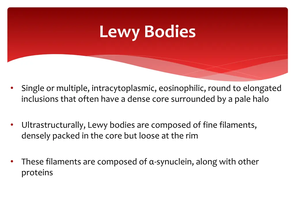 lewy bodies
