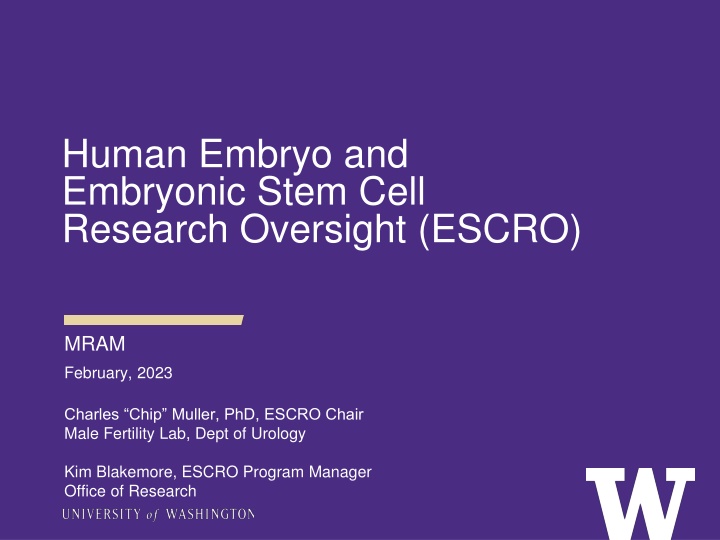 human embryo and embryonic stem cell research
