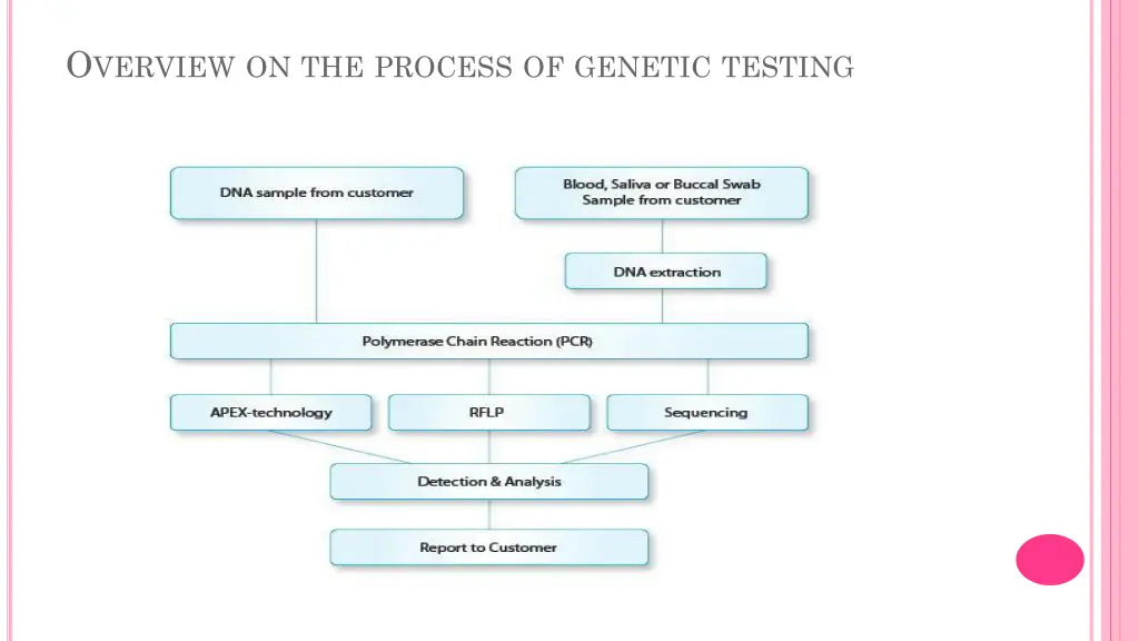 o verview on the process of genetic testing