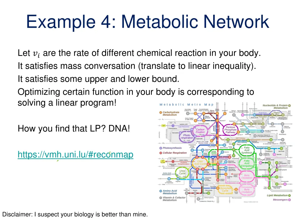 example 4 metabolic network