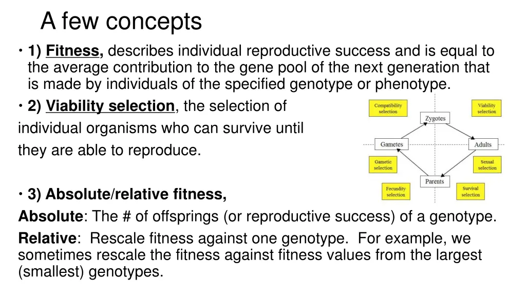 a few concepts 1 fitness describes individual