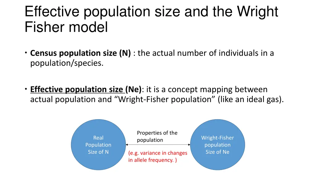 effective population size and the wright fisher