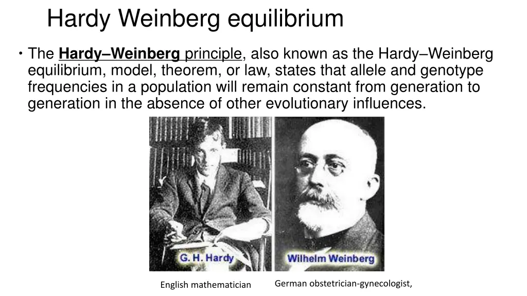 hardy weinberg equilibrium