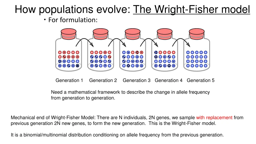 how populations evolve the wright fisher model