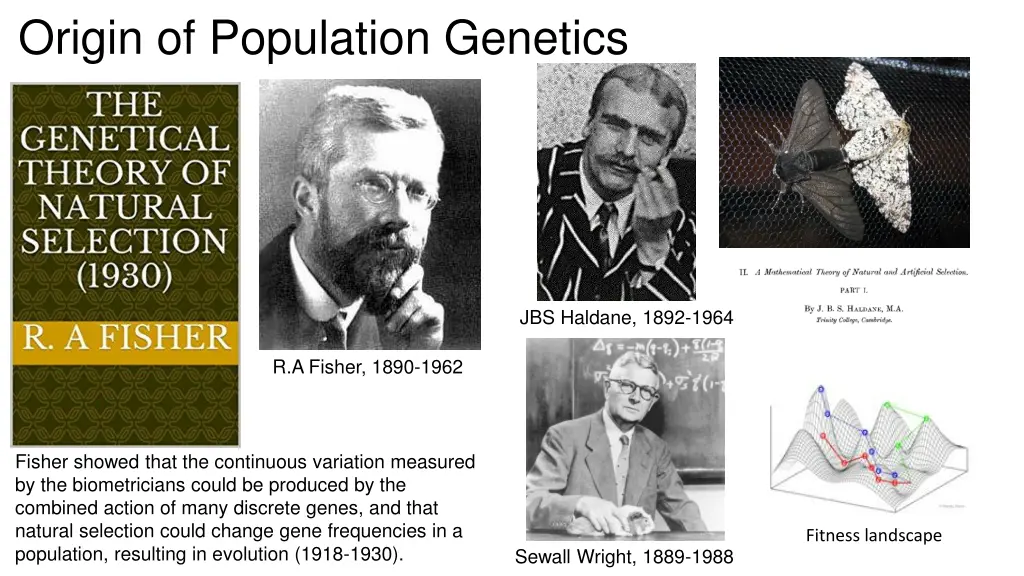 origin of population genetics