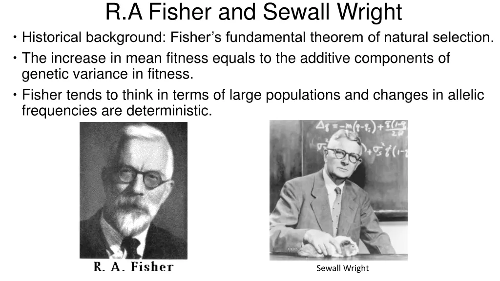 r a fisher and sewall wright historical