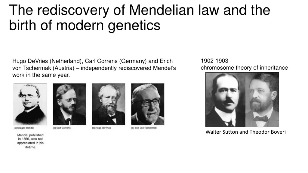 the rediscovery of mendelian law and the birth