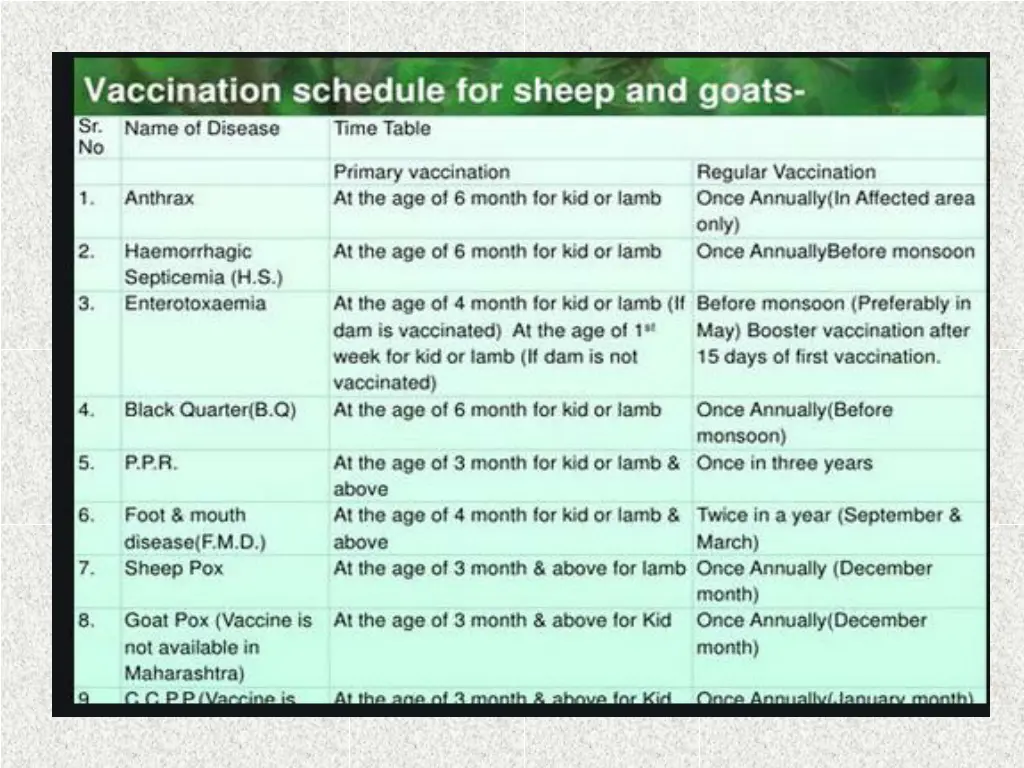 slide8