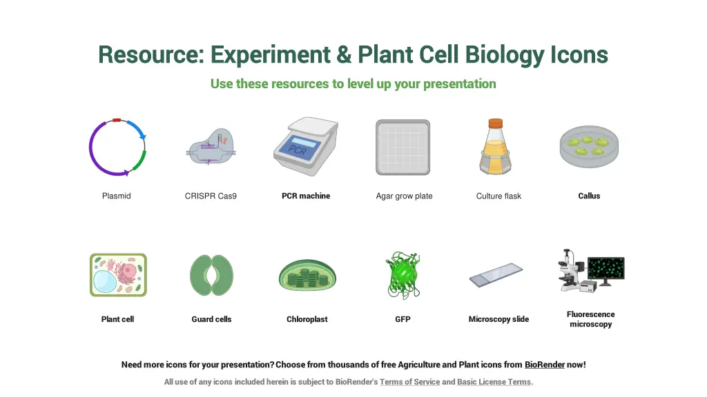 resource resource experiment plant cell biology