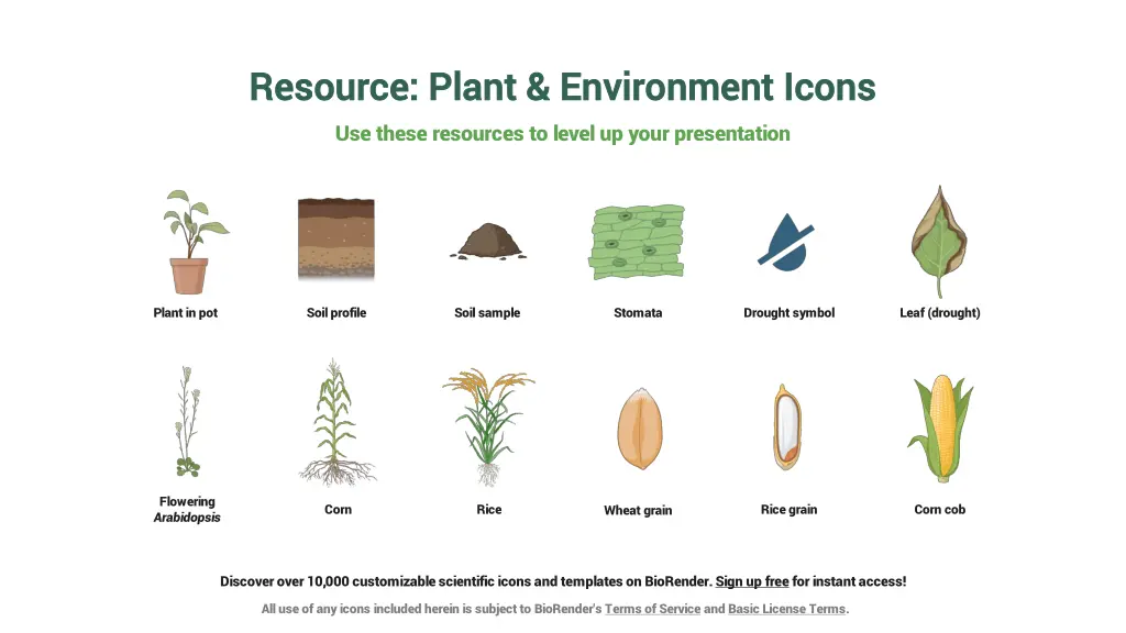 resource resource plant environment icons plant