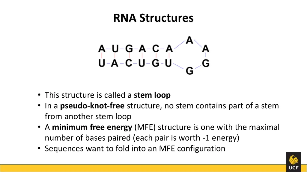 rna structures 1