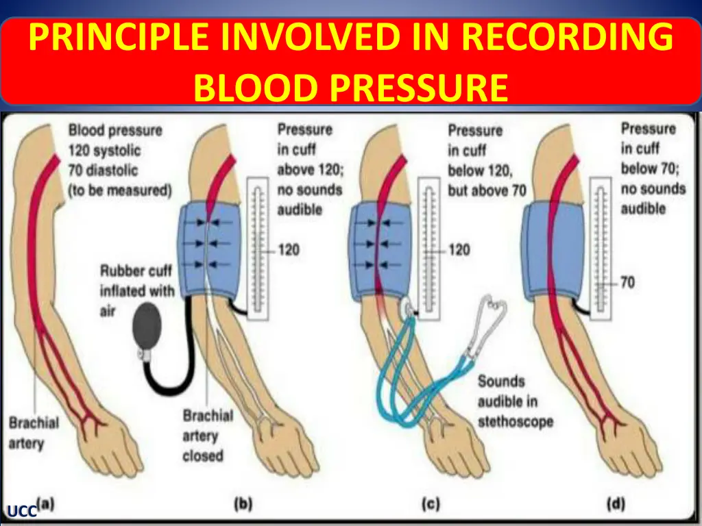principle involved in recording blood pressure