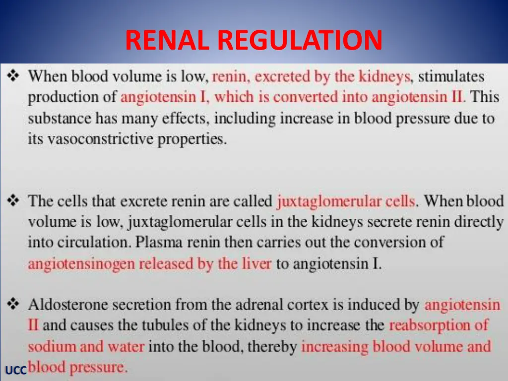 renal regulation