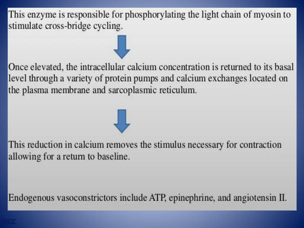 slide24