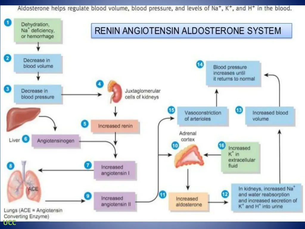 slide30