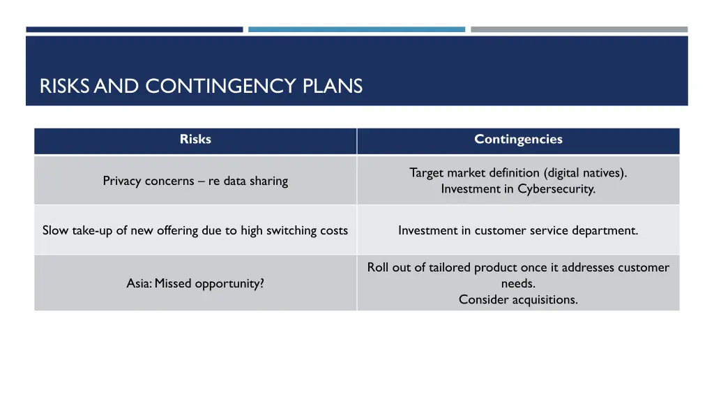 risks and contingency plans