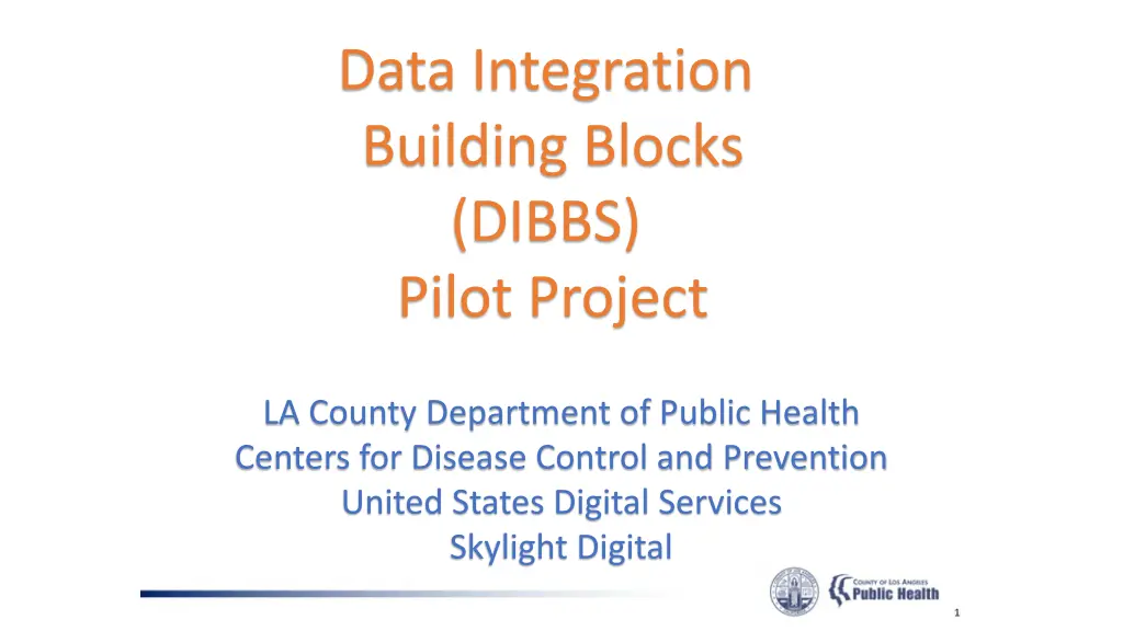 data integration building blocks dibbs pilot