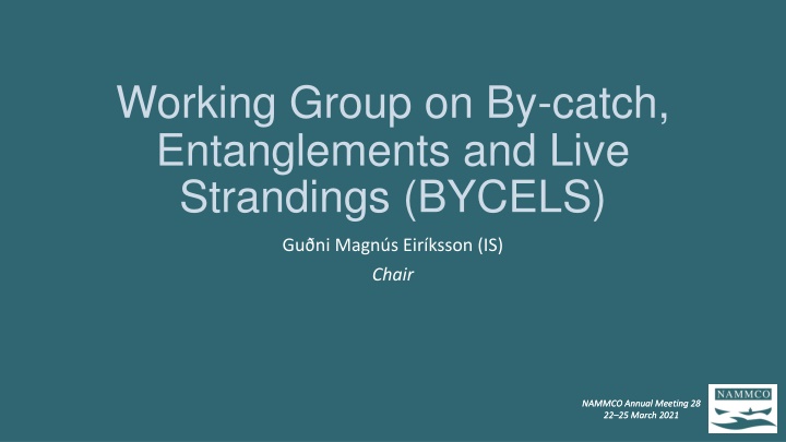working group on by catch entanglements and live