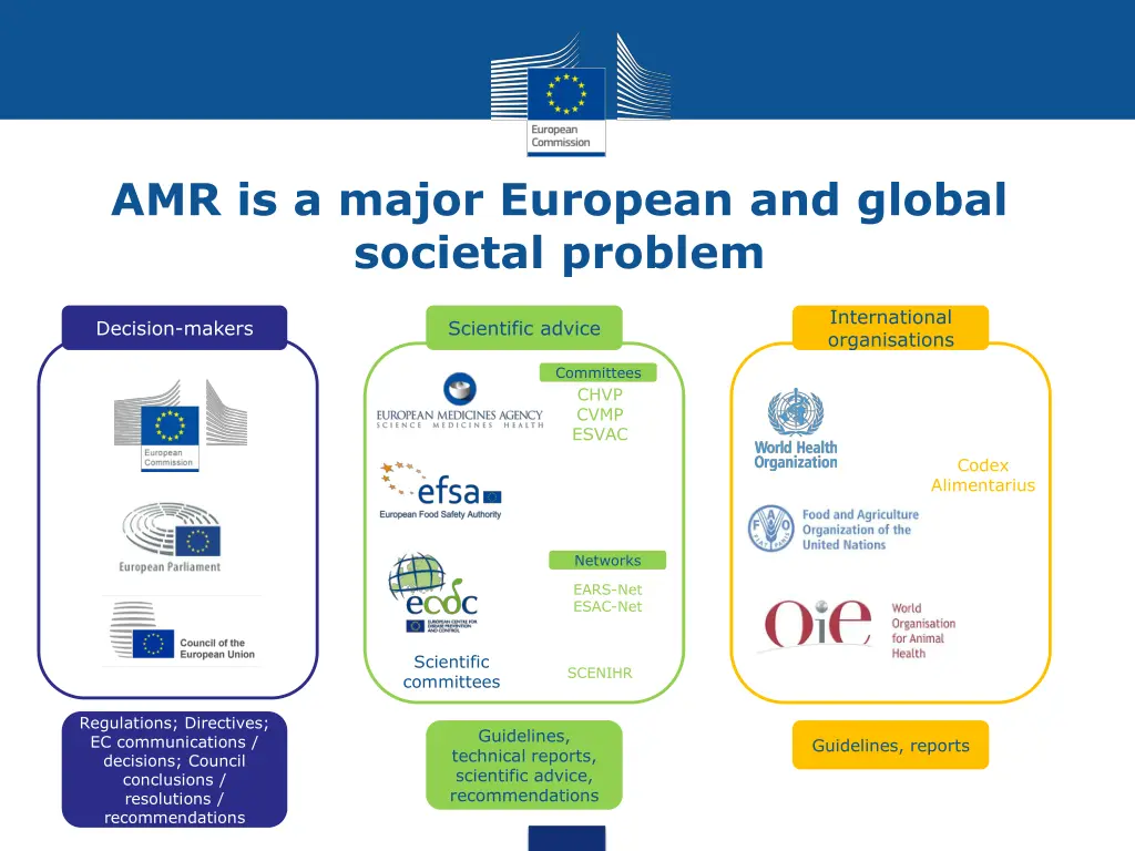 amr is a major european and global societal