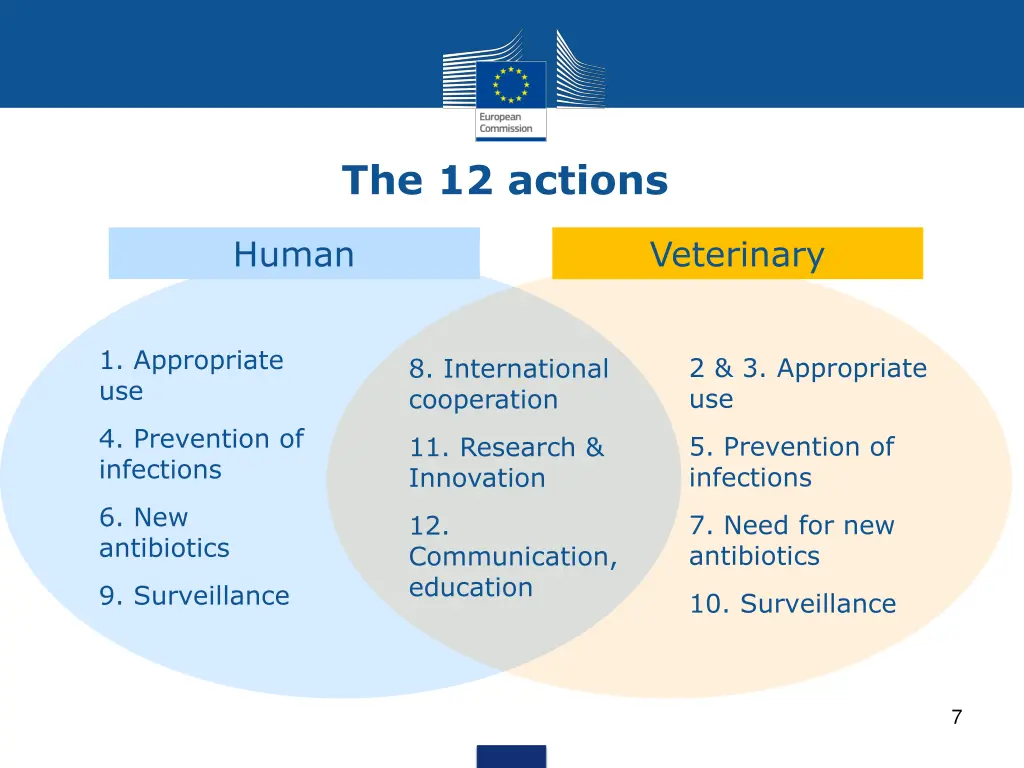 the 12 actions