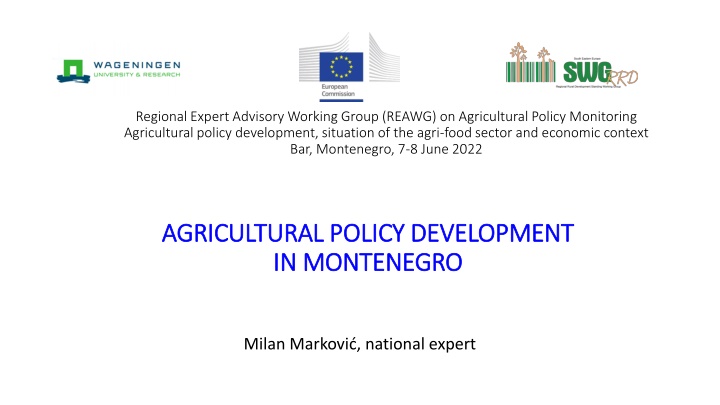 regional expert advisory working group reawg
