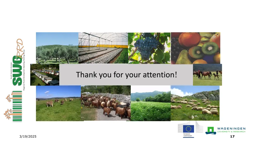 thank you for your attention