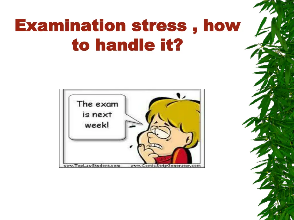 examination stress how examination stress