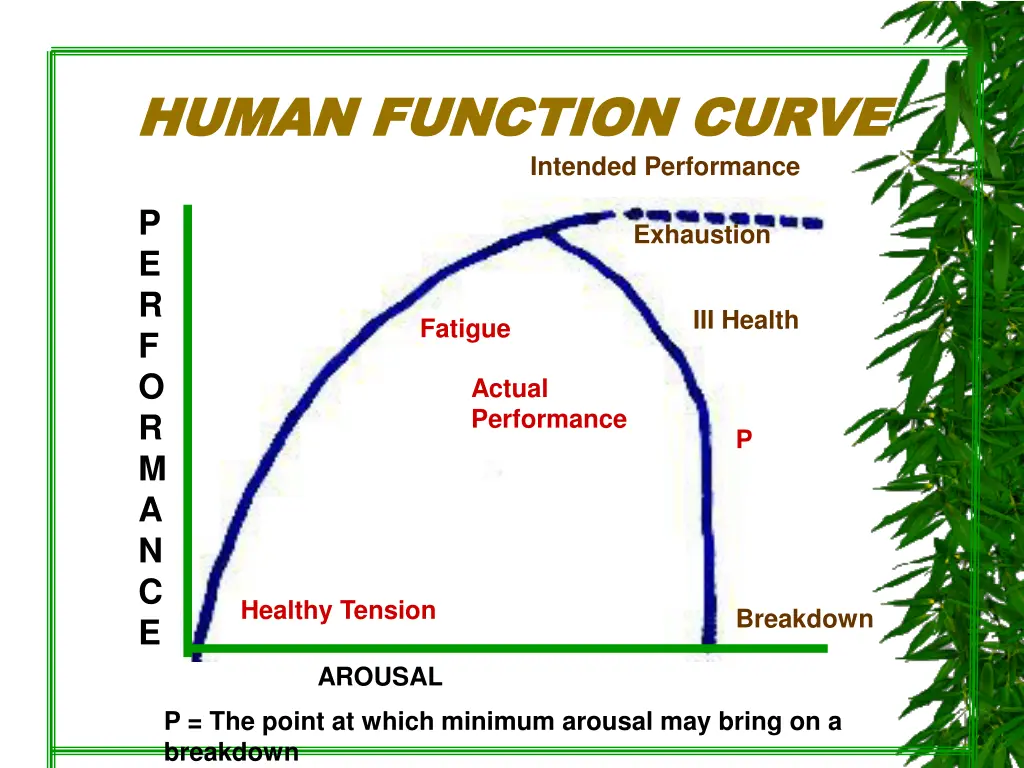 human function curve human function curve