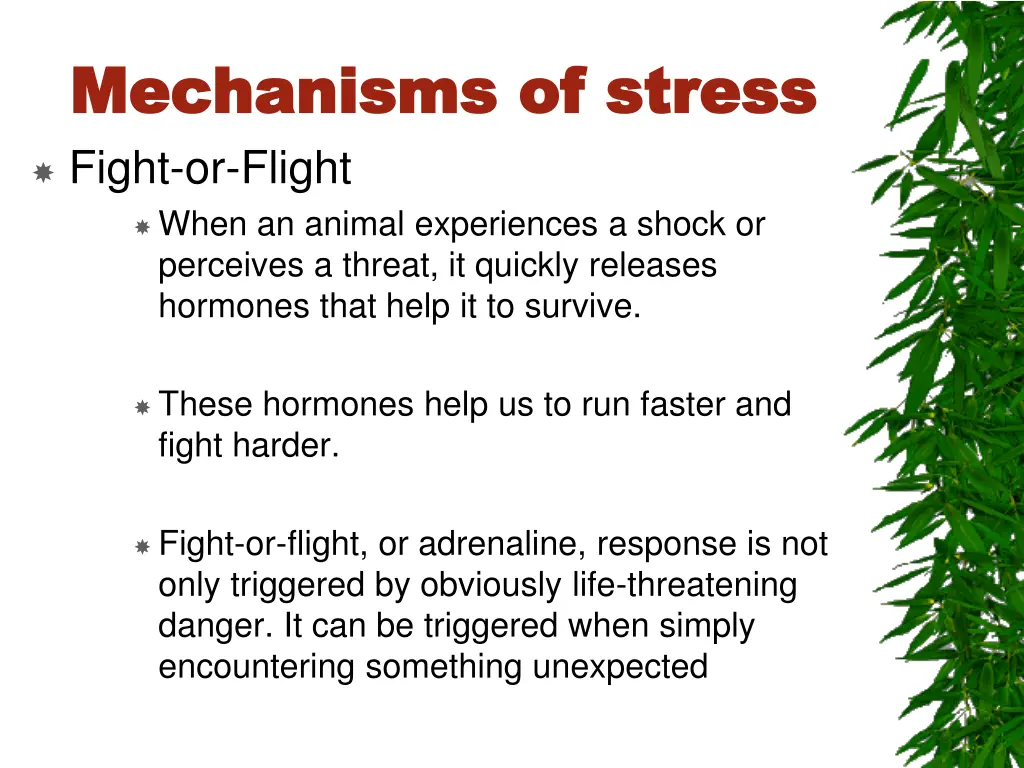 mechanisms of stress mechanisms of stress fight