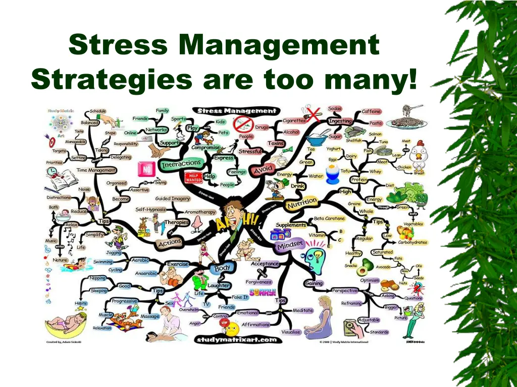 stress management strategies are too many