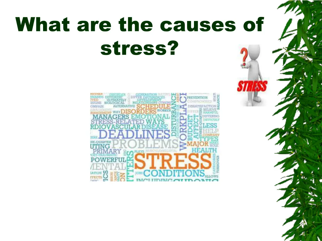 what are the causes of stress