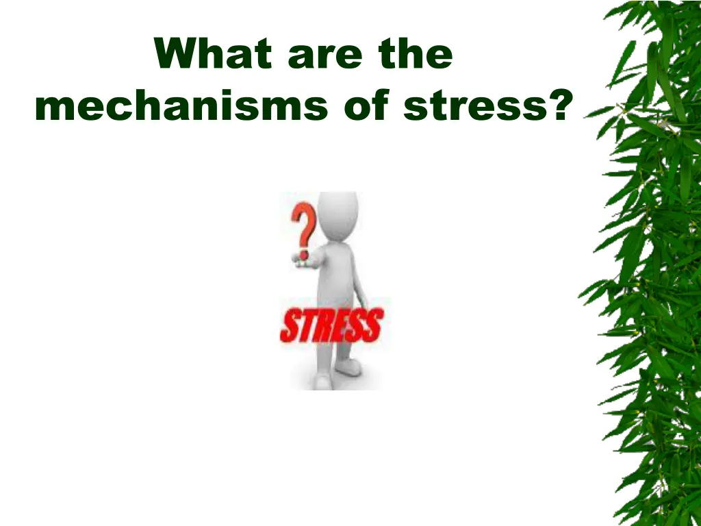 what are the mechanisms of stress