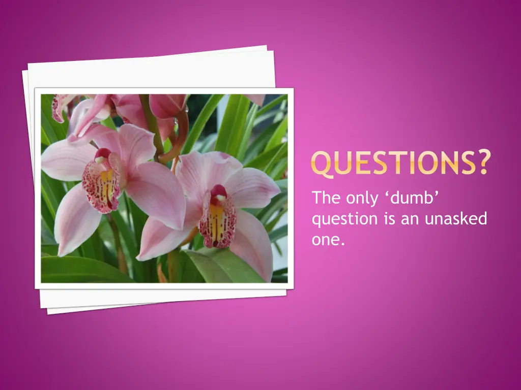 questions the only dumb question is an unasked one