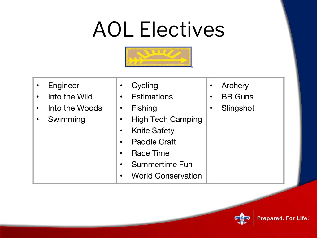 aol electives