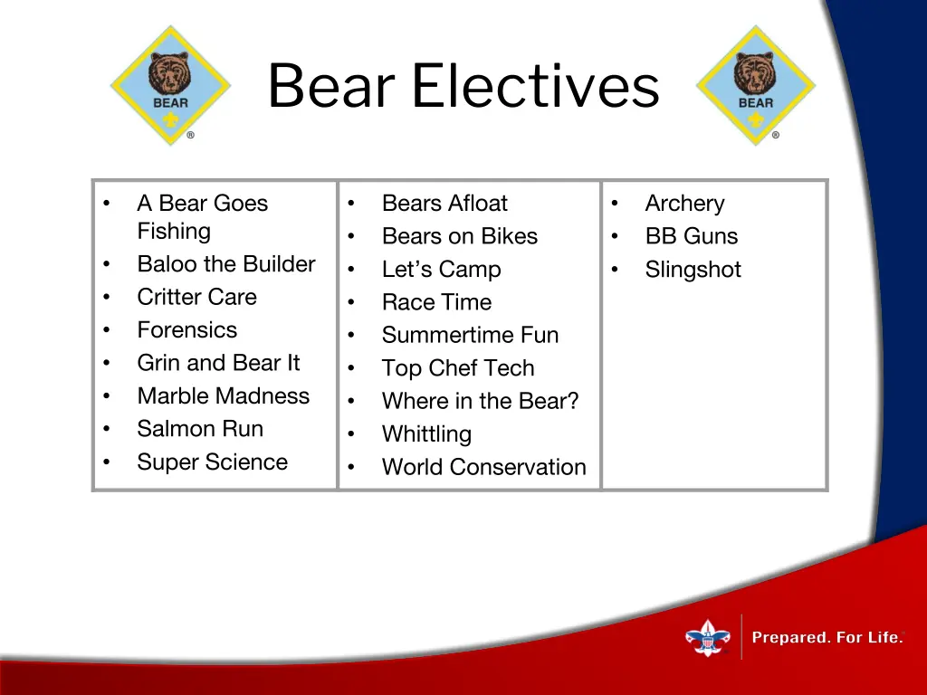 bear electives