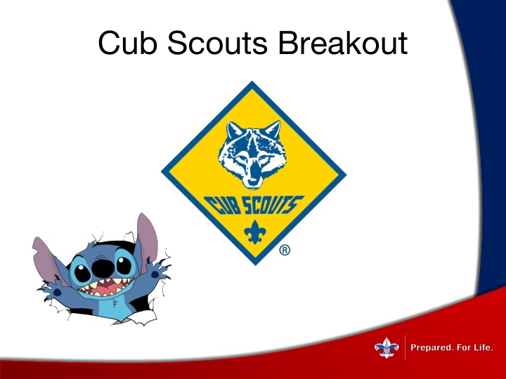 cub scouts breakout