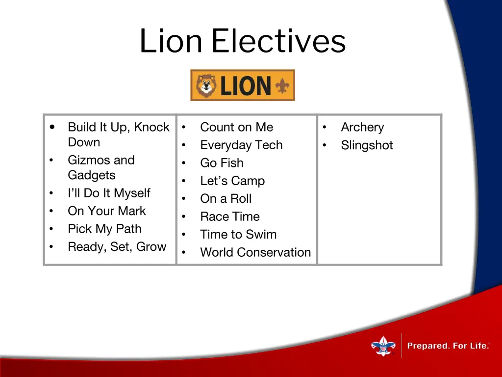 lion electives