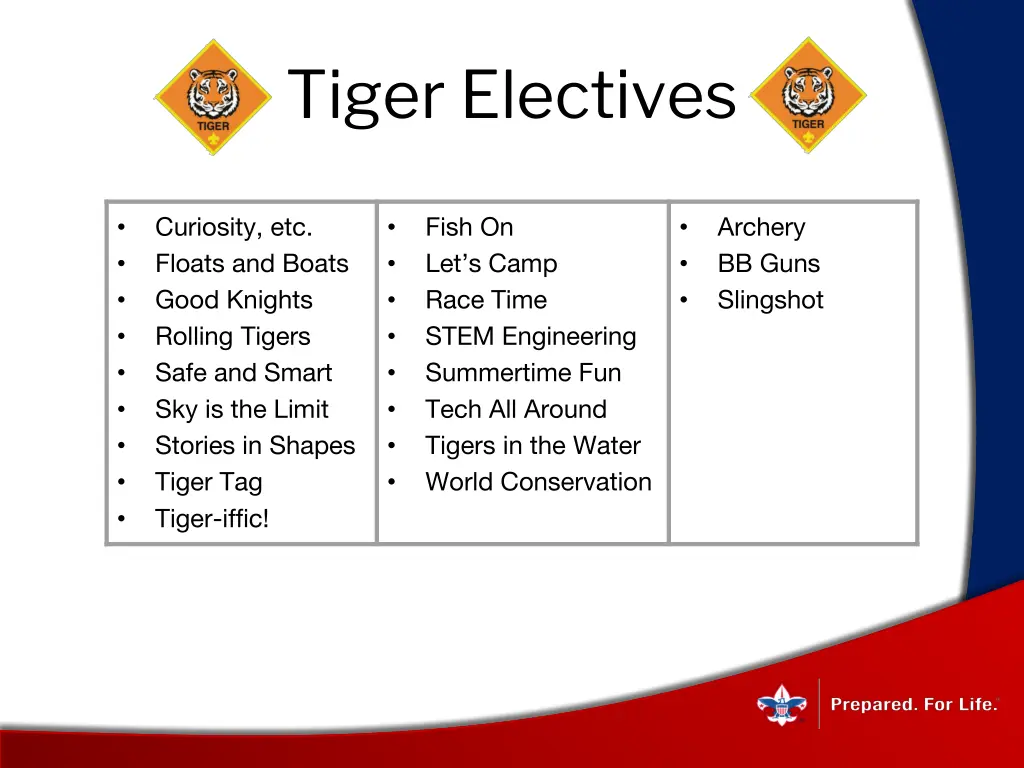 tiger electives