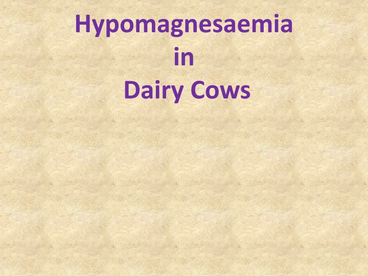 hypomagnesaemia in dairy cows