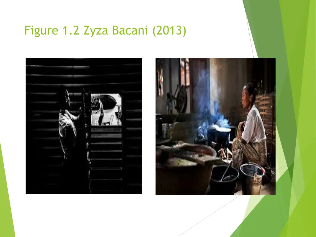 figure 1 2 zyza bacani 2013