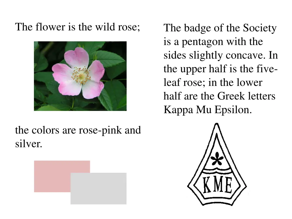 the flower is the wild rose